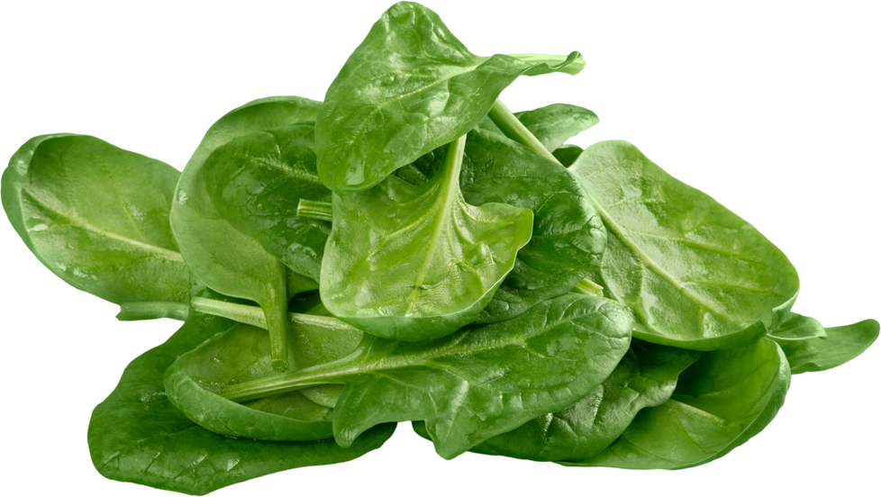 Young Spinach Leaves