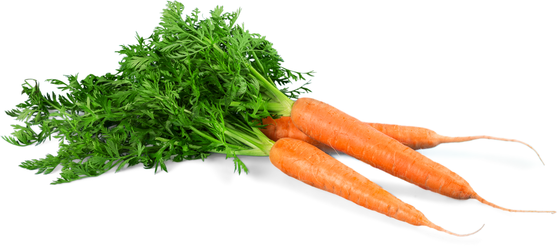 Three Fresh Carrots